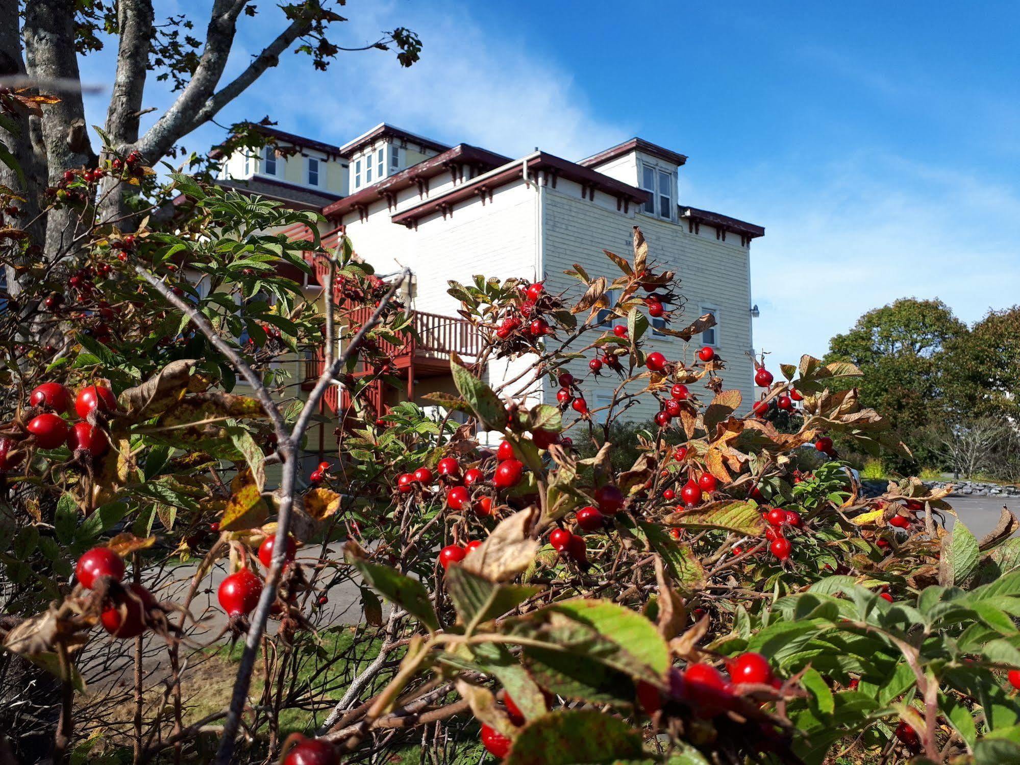 Homeport Historic B&B Saint John Bagian luar foto